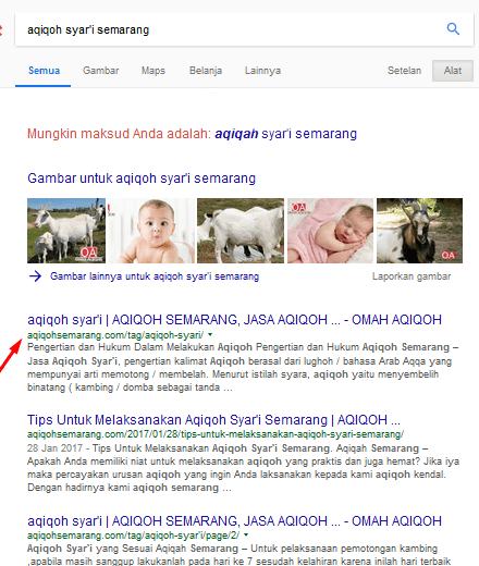 layanan-jasa-seo-8-1 layanan-jasa-seo-8-1